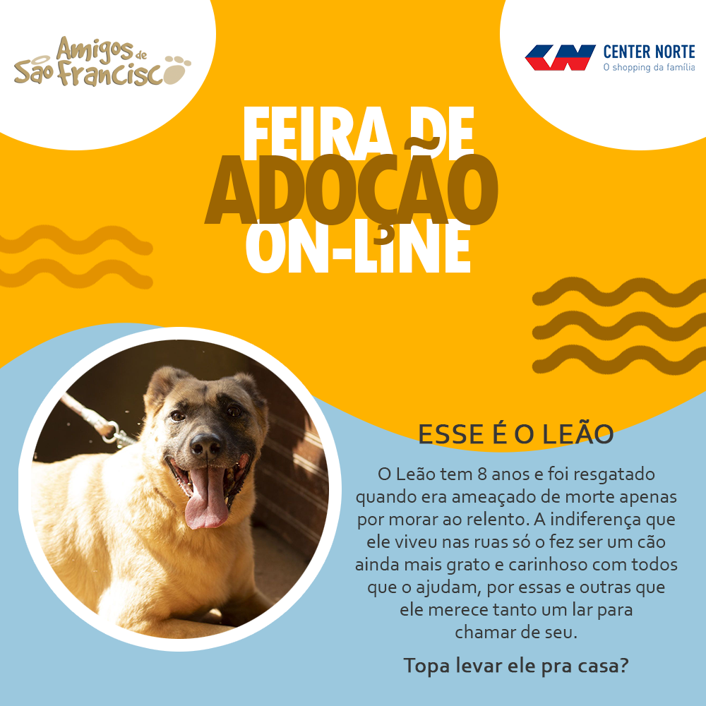 Pet Adoption Online Event at Center Norte - Shopping Center Norte Pet Adoption Online Event at Center Norte - Shopping Center Norte